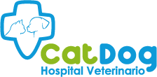 Cat Dog