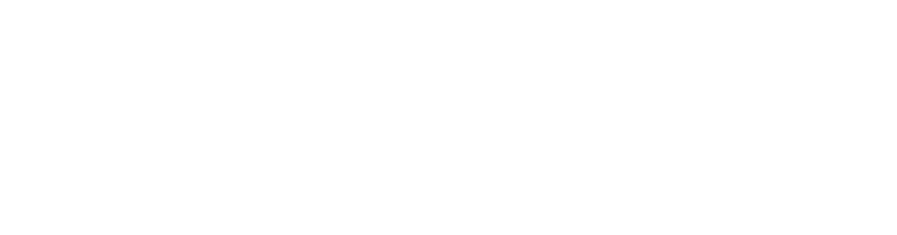 Tampa Bay Wave